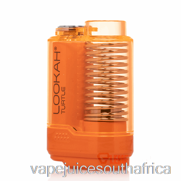 Vape Juice South Africa Lookah Turtle 510 Battery Orange